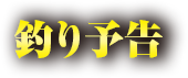 ނ\
